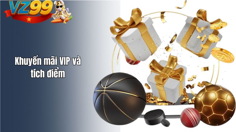 Khuyến mãi VIP và tích điểm